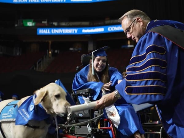 Watch: labrador-golden retriever receives honorary diploma in heartwarming ceremony